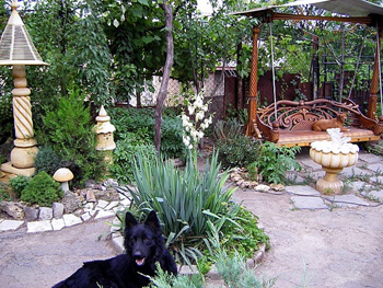 Подготовка к появлению щенка: подготовить дом и сад, выбрать корм | Royal Canin