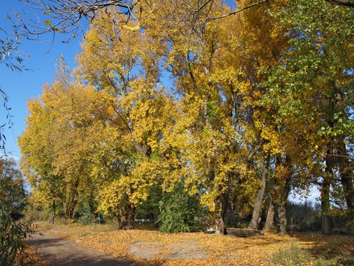 Секреты парка Чаир