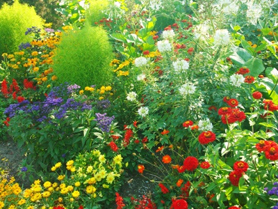 Симфония красок в саду