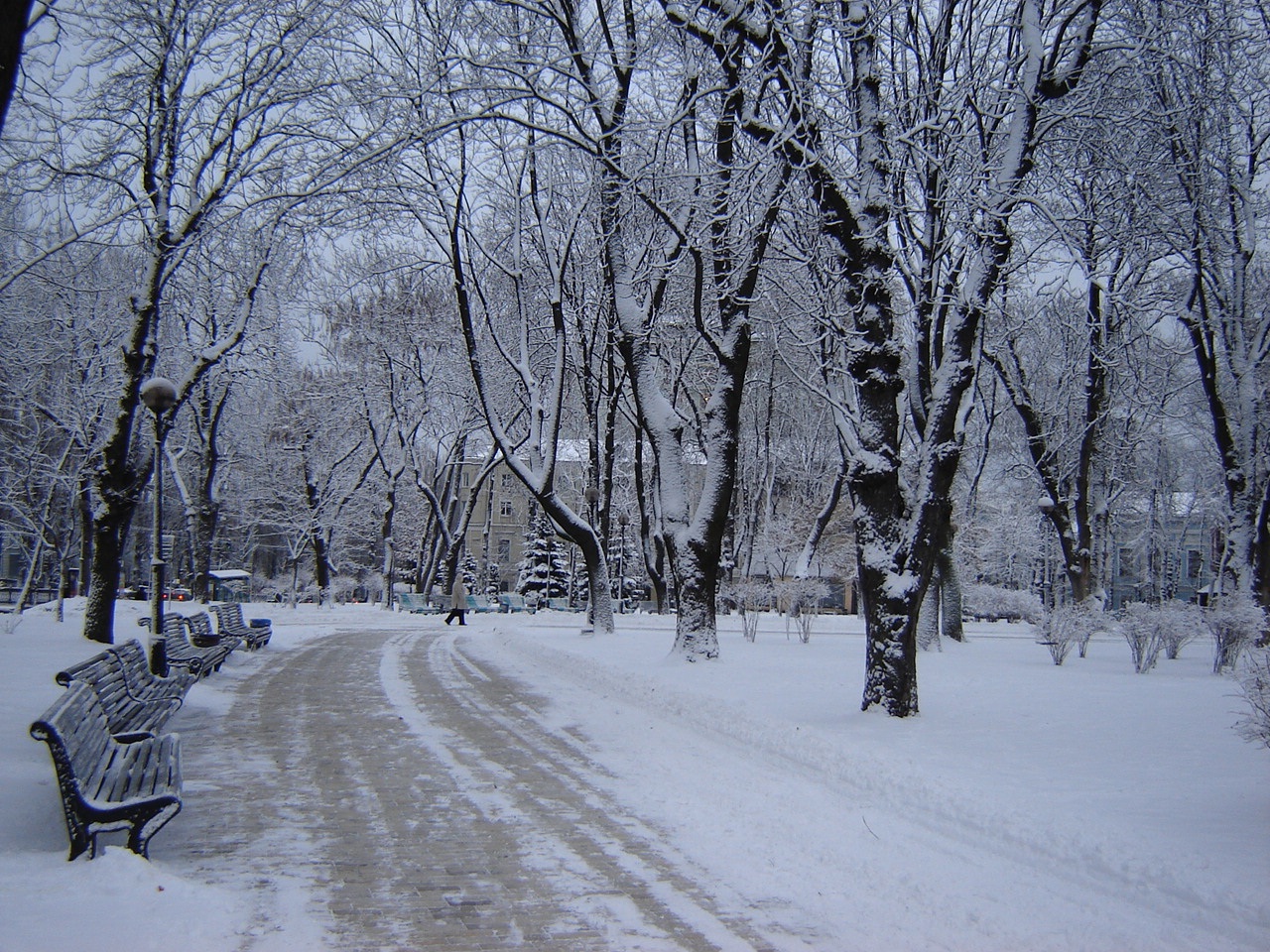 Улучшение условий зимовки   растений