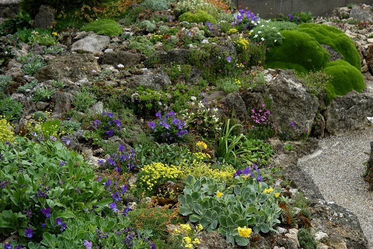 Каменистый сад
