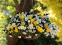 Подвесные цветочные композиции для сада