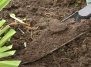 Садовая почва: Почему важно, чтобы она была хорошей