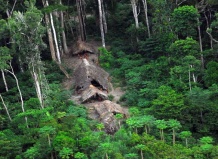 Джунгли Амазонки губит чистый воздух