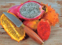 Какой кактус съедобен?