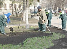 В Пензе появятся «спортивные» и «свадебные» клумбы