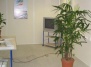 Растения в офисе “избавят” от больничных