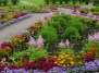 Москву украсят 2,3 тысячи цветников
