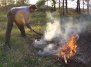 Леса горят из-за шашлыков
