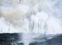 Лесные пожары в Забайкалье