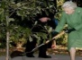 В Букингемском дворце появился королевский огород