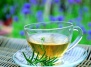 Травяные чаи и эфирные масла из мяты и мелиссы - мята и мелисса на Ваш Сад