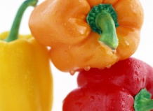 Различные виды перца: сладкий, острый, болгарский, горький и красный - перец на Ваш Сад