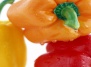 Различные виды перца: сладкий, острый, болгарский, горький и красный - перец на Ваш Сад