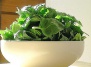 Рецепты блюд из шпината, витаминные салаты из шпината - шпинат на Ваш Сад