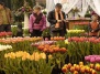 Голландский Фестиваль Цветов