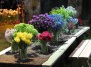 Международная выставка цветов в Филадельфии 