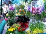 Садовый центр «Ваш Сад» - Праздник Весны и Цветов