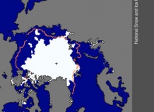 Площадь арктических льдов сократилась ниже минимума 2005 года