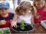 Как привить ребенку любовь к растениям?