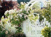 Идеи дизайна для дачи: красивые садовые калитки
