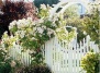 Идеи дизайна для дачи: красивые садовые калитки