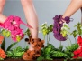 Модницам на заметку: туфли с орхидеями