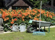Жизнь в Германии: сад в аренду