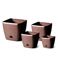 KV 2826 ШОКОЛАДНЫЙ купить