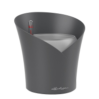 Вазон Lechuza Orchidea 20 серый матовый купить
