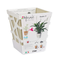 Вазон Idel Quadro 17см фисташковый купить