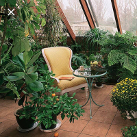 Услуги по уходу за зимним садом, комнатными растениями (1 садовник,но не менее 2х час.), цена за час купить