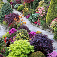 Формовочная обрезка декоративных кустарников, цена за шт. купить