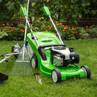 Покос газона (газонокосилка подрядчика, в том числе вывоз скошенной травы), цена за сотку купить