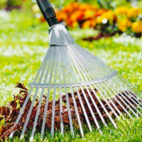 Вычесывание газона вручную, цена за м/кв купить