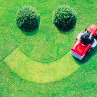 Услуги по уходу за приусадебным участком (1 садовник, но не менее 6-ти часов), цена за час купить