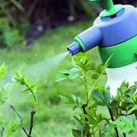 Обработка растений открытого грунта препаратами защиты (до 10л) купить