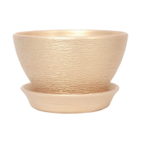 КС фиалочница 19 люкс персик купить