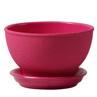 Бонсайница 1л шелк малиновый купить