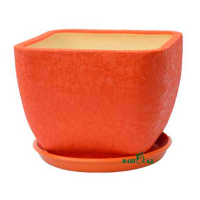 Ноктюрн №1 шовк помаранчевий купить