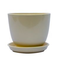 Вазон Кедр глянец бежевый №2 купить