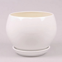 Шар 1,4л глянец бежевый купить