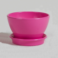 КС Фиалочница 19 глянец розовый купить