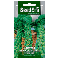 Капуста брюссельская Гронингер Seedera 0.5г купить