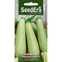 Кабачок Грибовский - 37  3 г купить