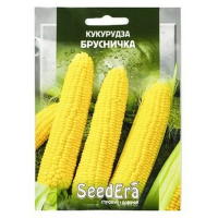 Кукуруза сахарная Брусничка Seedera 10г купить
