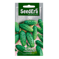 Огурец Соловей F1 Seedera 0.5г купить