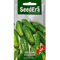 Огурец Кустовой Seedera 1г купить