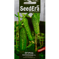 Огірок Балконний F1 SeedEra 10шт купить
