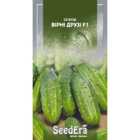 Огірок Вірні друзі F1 Seedеra 10шт купить